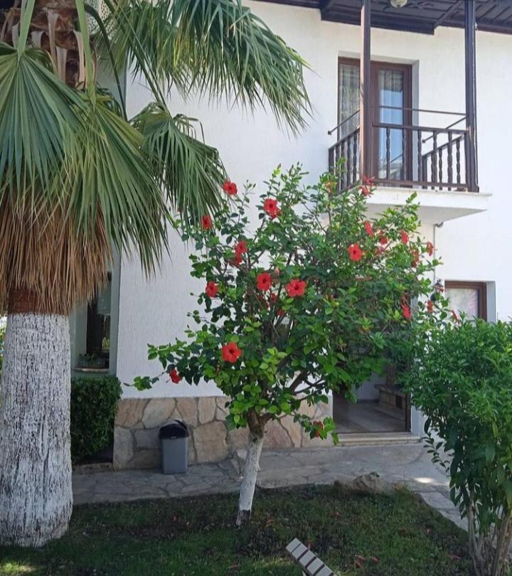 Nehir Dalyan Boutique Otel Ortaca  Екстериор снимка