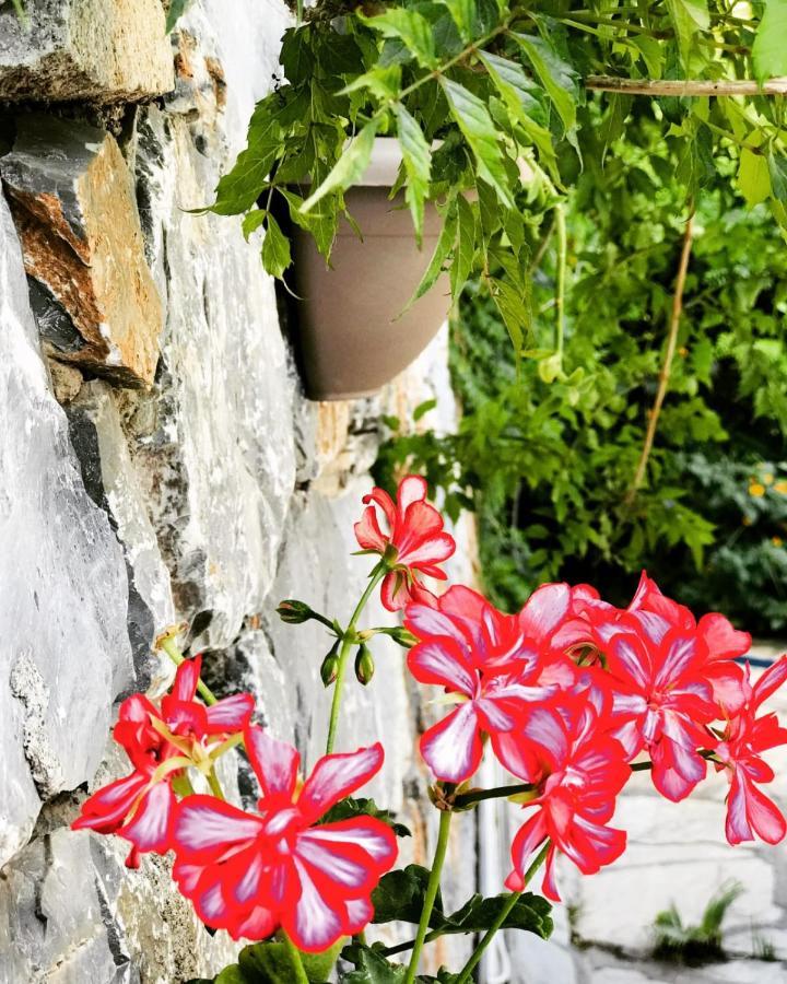 Nehir Dalyan Boutique Otel Ortaca  Екстериор снимка